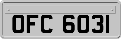 OFC6031