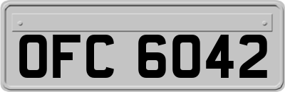 OFC6042