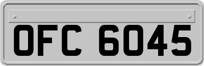 OFC6045