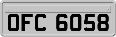OFC6058