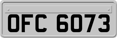 OFC6073
