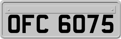 OFC6075