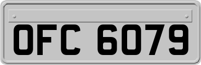 OFC6079