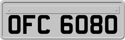 OFC6080