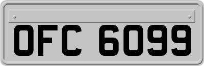 OFC6099