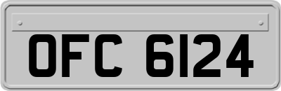 OFC6124