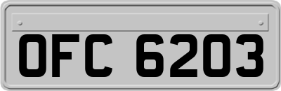 OFC6203