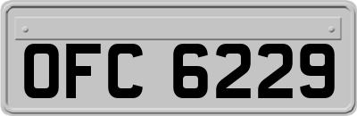 OFC6229