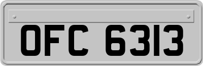 OFC6313