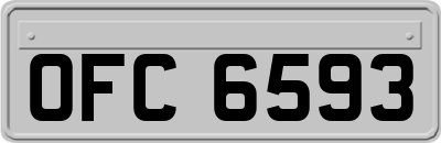 OFC6593