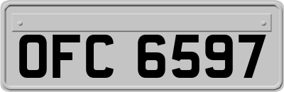 OFC6597