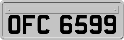OFC6599