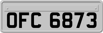 OFC6873