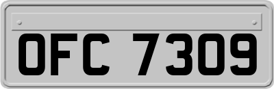 OFC7309
