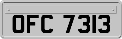 OFC7313