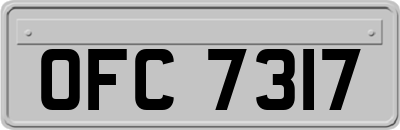 OFC7317