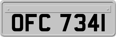 OFC7341