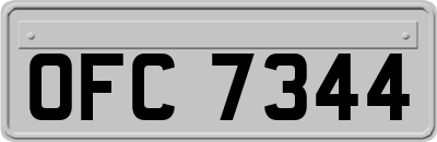 OFC7344