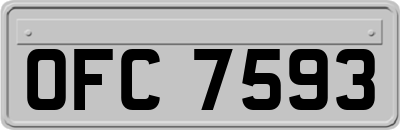OFC7593
