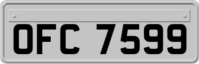 OFC7599
