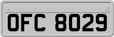 OFC8029