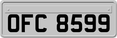 OFC8599