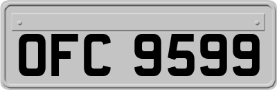 OFC9599
