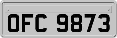 OFC9873
