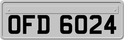 OFD6024