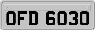 OFD6030