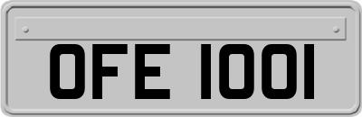 OFE1001