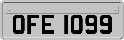 OFE1099