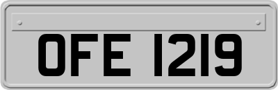 OFE1219