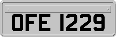OFE1229