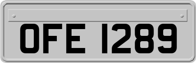 OFE1289