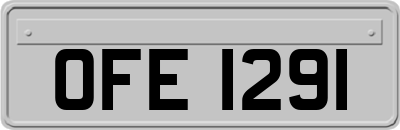 OFE1291