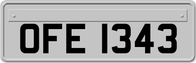 OFE1343