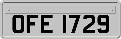 OFE1729