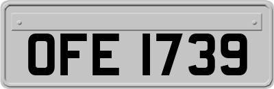 OFE1739