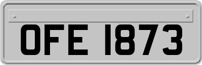OFE1873
