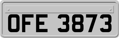 OFE3873