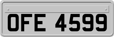 OFE4599