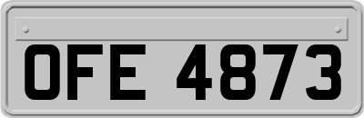 OFE4873
