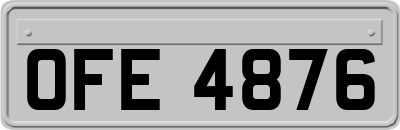 OFE4876