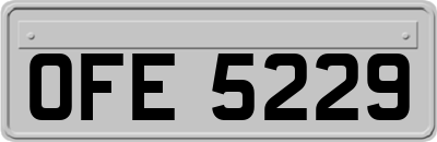 OFE5229