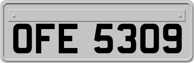 OFE5309