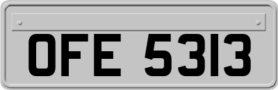 OFE5313