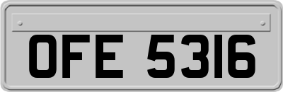 OFE5316