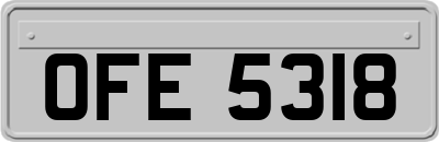 OFE5318