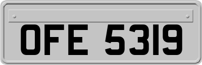 OFE5319